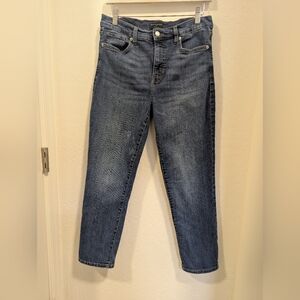 Banana Republic Factory High Rise Slim Jean 29/8 dark wash